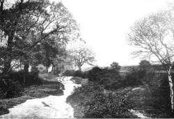 Croxted Road, West Norwood, c. 1875