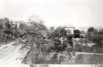 lewisham-high-street-01456-350