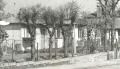 Friern Road, East Dulwich, 1951