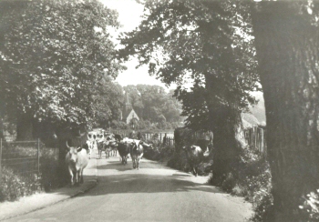 Rectory Lane, Foots Cray, c. 1920