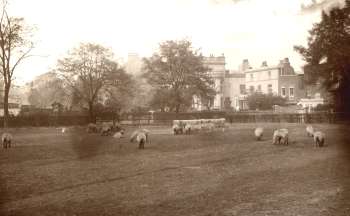 Brixton Oval, Brixton, 1892