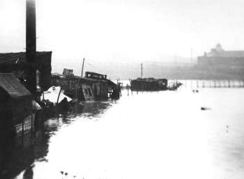 Gypsy Emcampment, Belvedere Marshes, Belvedere, 1953