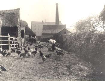 Bexley Mill, Bexley Village, c. 1920