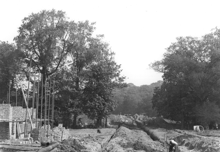 Martens Avenue, Barnehurst, 1934 - click for smaller image 