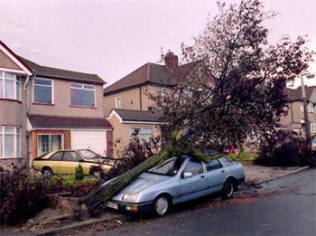 The Great Storm, Northumberland Avenue, Welling, 1987