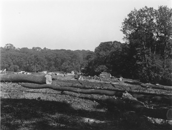 Martens Grove, Barnehurst, 1934 - click to enlarge