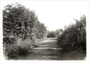 Pickford Lane, Bexleyheath, 1932