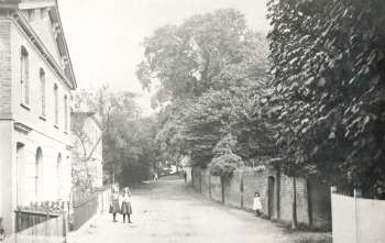 Halt Robin Road, Belvedere, 1910