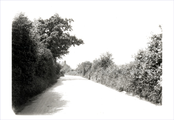 Long Lane, Bexleyheath, 1930