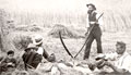 Farmland, Downham, Lewisham, c.1880