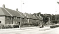 Whitefoot Lane, Downham, Lewisham, c.1955