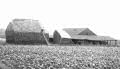Bellingham Farm, Bellingham, c. 1920